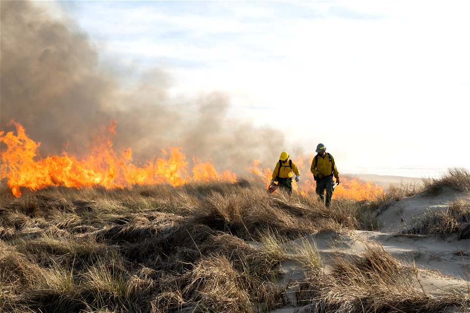 Siuslaw Oregon Dunes Prescribed Burn 2022 photo