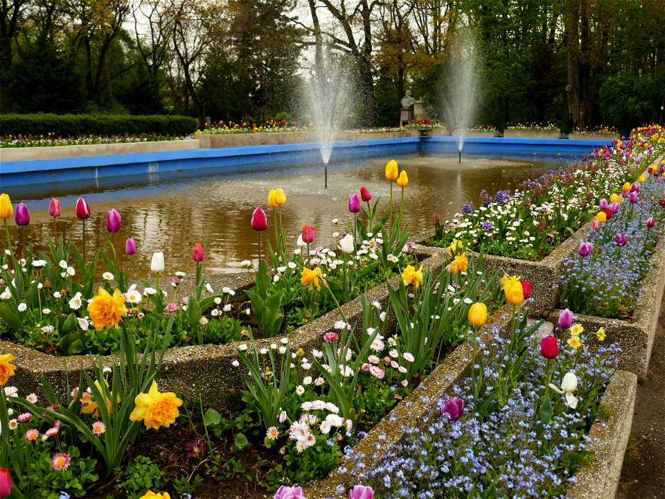 Herestrau Park in spring (113)