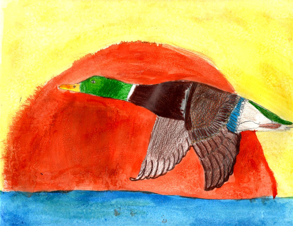 Grp 2 3rd Eloise Coulter Kodiak 10