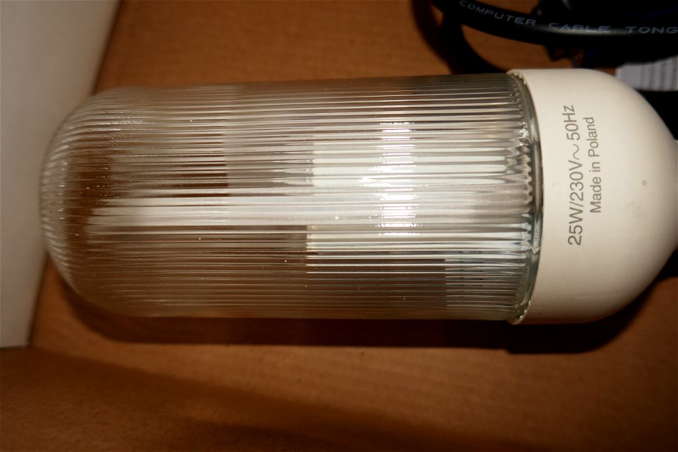 vintage CF bulb (1)
