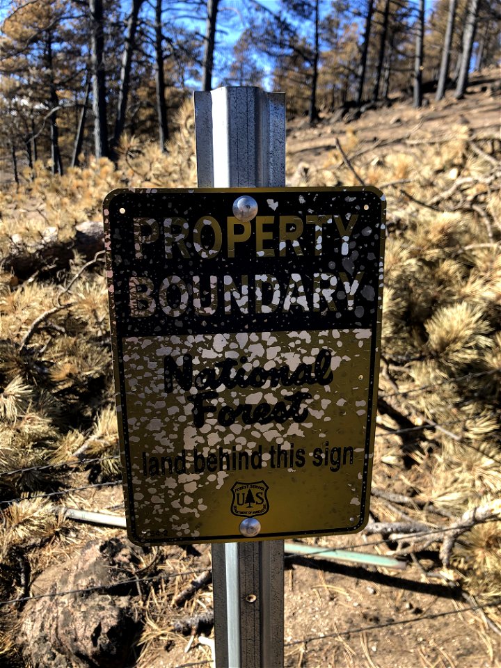 2021 BLM Fire Employee Photo Contest Category: ESR and BAER