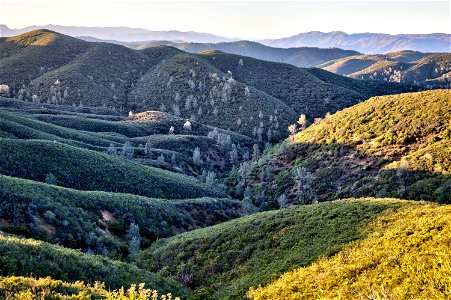 Grey pines & chaparral on sub-ridges photo