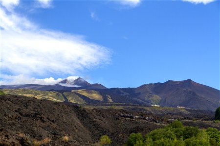 IMG_3387