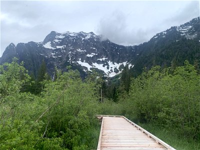 Big 4, Mt. Baker-Snoqualmie National Forest. Photo by Sydney Corral June 28, 2021
