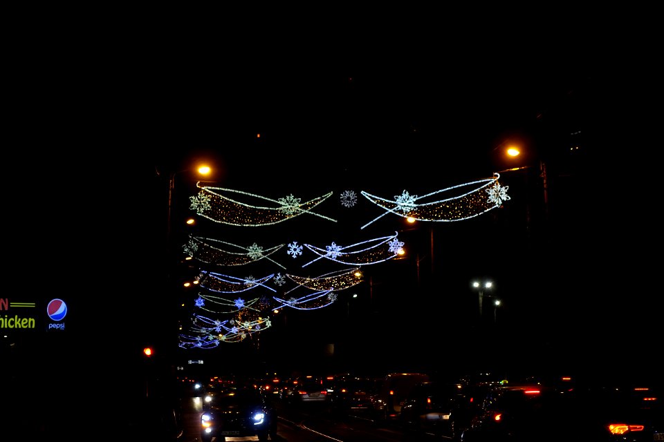 DSC08791