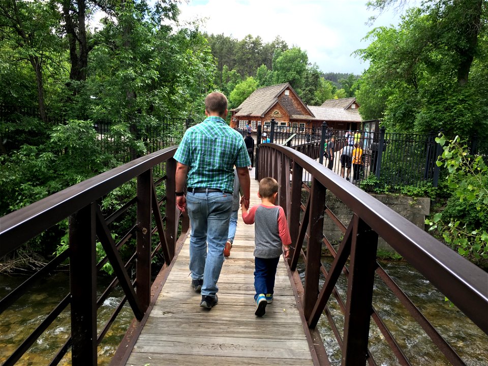 Going to the Hatchery