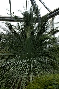 Hantaek Botanical Garden