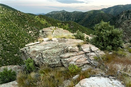 Above upper Percha Creek