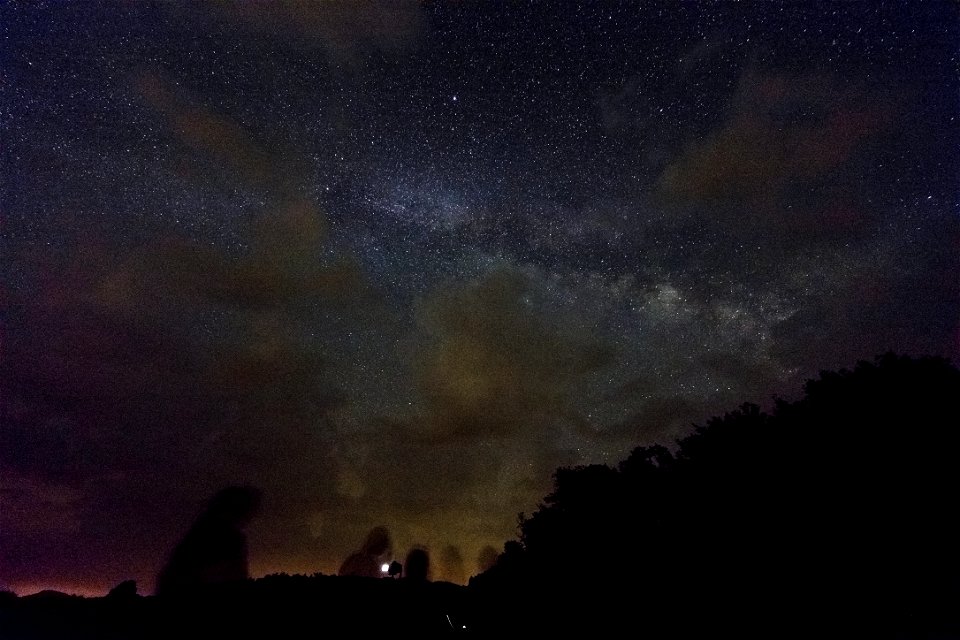 Big Meadows Night Sky Over Trees