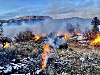 Blanding East Fuels Reduction Project
