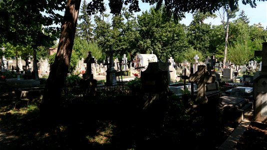 Bellu_cemetery (35) photo