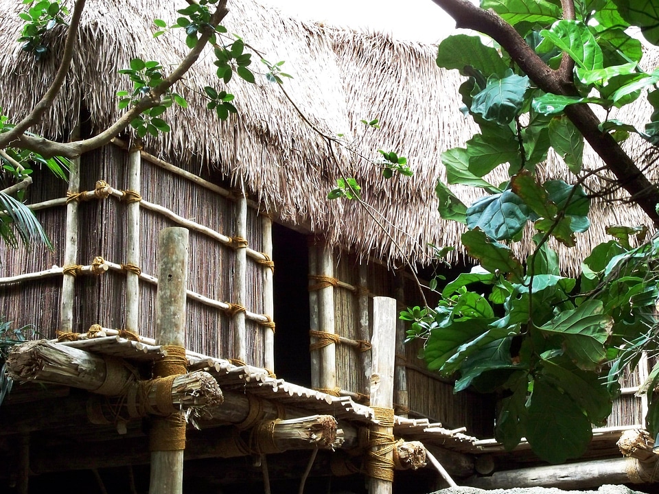 Hut jungle thatched roof