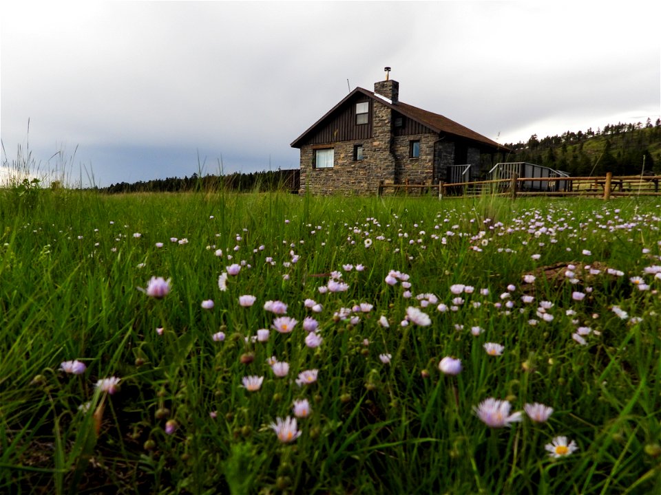 Kendrick Cabin 8/11/22 photo