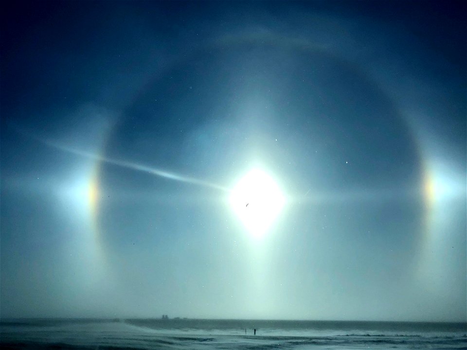 The Local Sun Dog