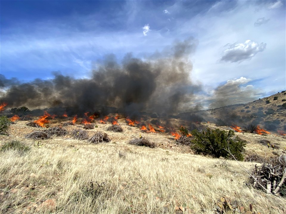 Black Hills Wash Prescribed Burn