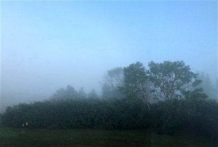One Misty Morning