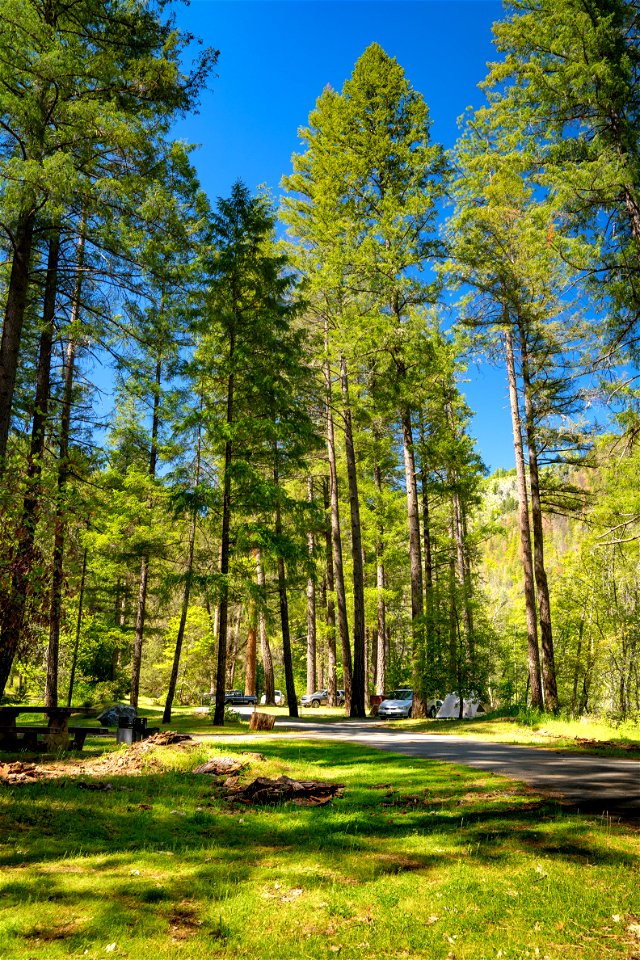 Steel Bridge Campground and River Access