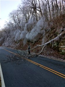 Ice Storm 202