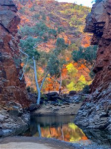 Serpentine Gorge (section 7)