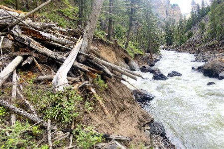 Yellowstone flood event 2022: Osprey Falls Trail washed out photo