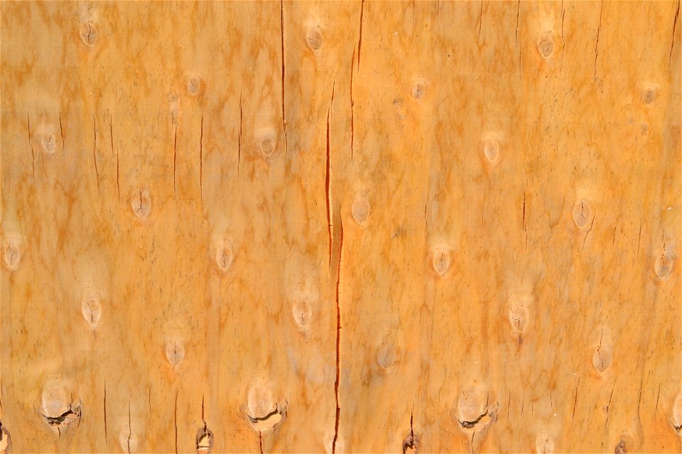 Texture