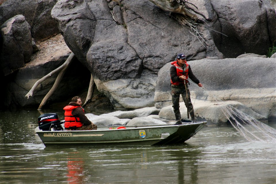 Trammel Netting in the Black Rocks
