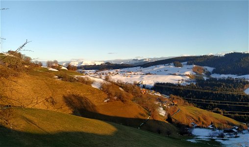 IMG_20220122_164549