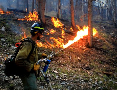 2022 BLM Fire Employee Photo Contest Category - Fuels Management photo