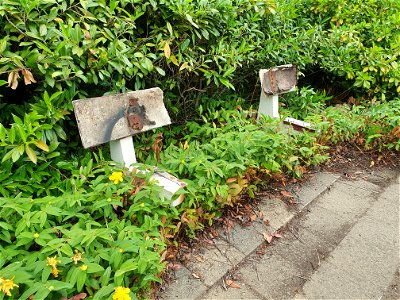 Voormalig Philipsterrein Maasniel, geen zitvlees meer