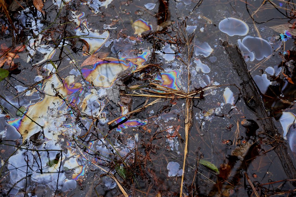Brices Creek not oil but bacteria film KG