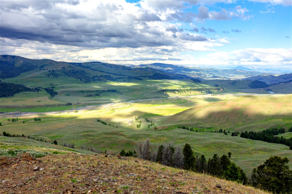 Lamar Valley and Buffalo Ranch
