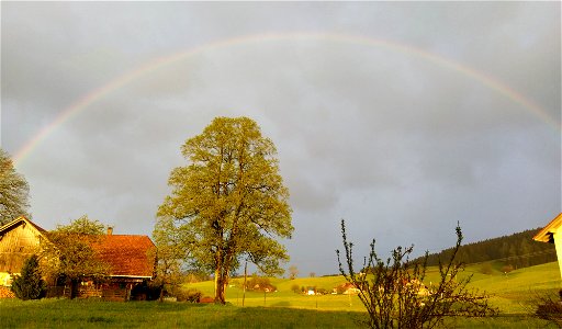 IMG_20210516_202437