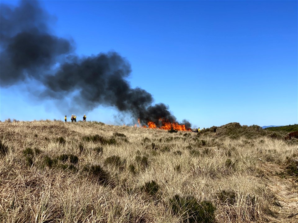 Siuslaw Oregon Dunes Prescribed Burn 2022