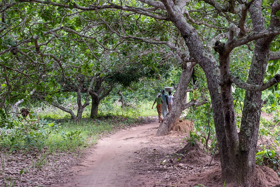 Landscape Parakou North Benin