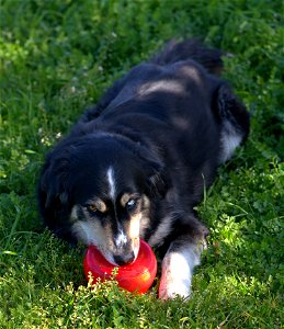 Mine!
