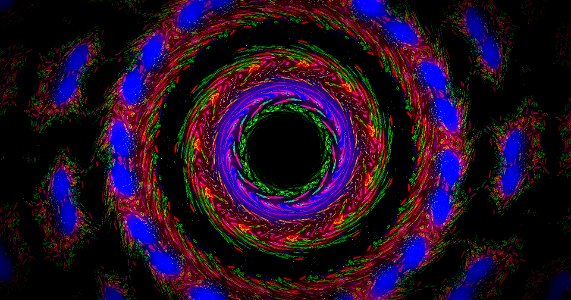 Kaleidoscope211210184440