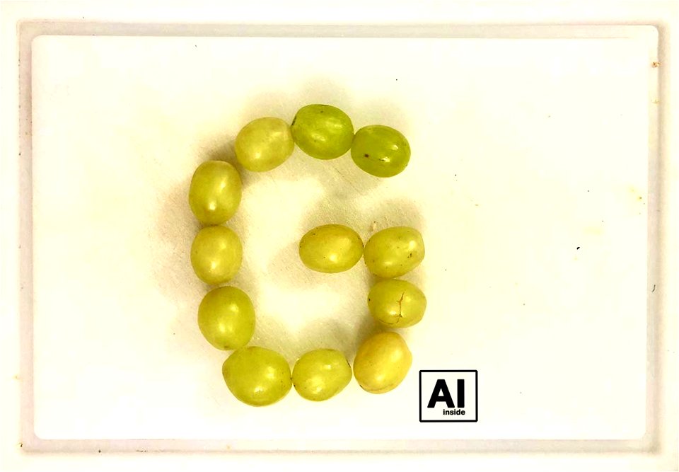 What's Eating Google GrapeAI