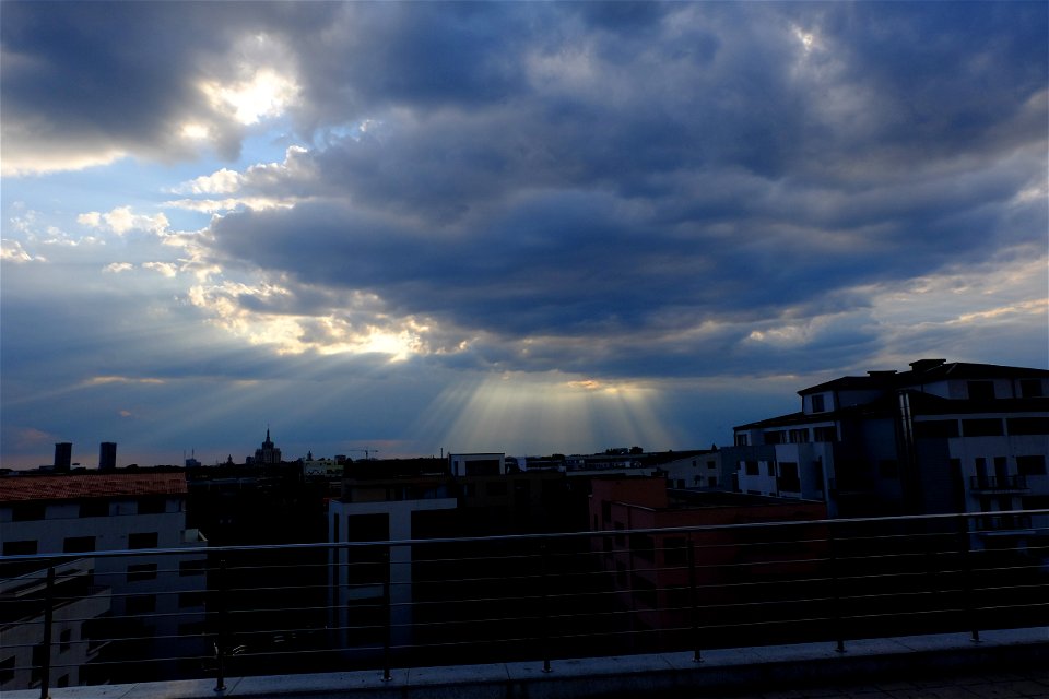 nori-sediu2015_0630_192444