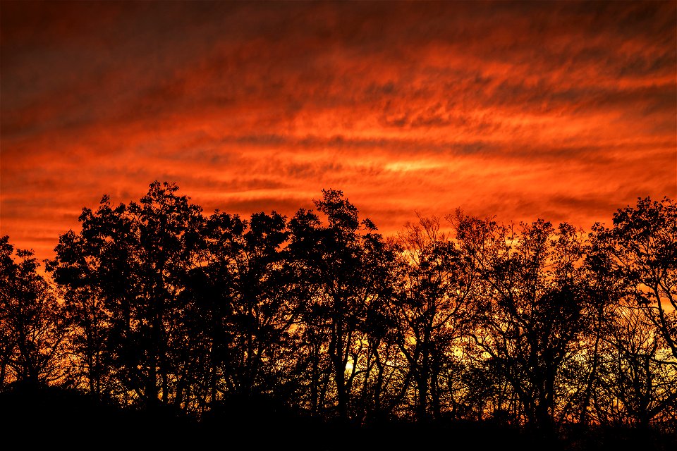 Day 313 - Sky on Fire