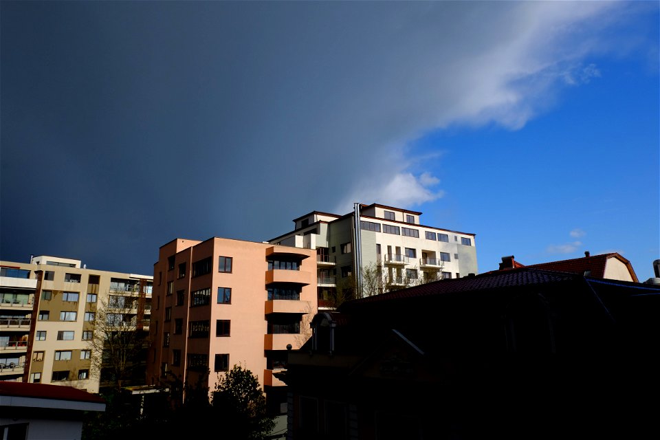nori-sedNCaramfil2015_0422_083542