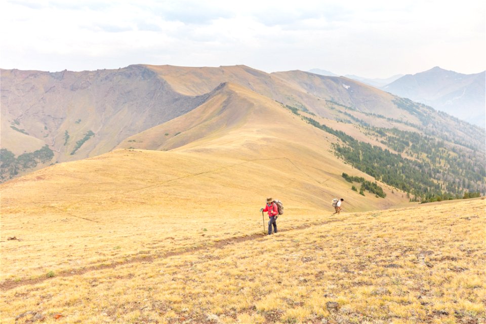 Shoshone National Forest, Sunlight Creek Trail: final switchbacks