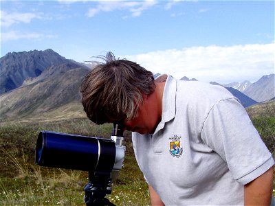 Scoping and surveying sheep
