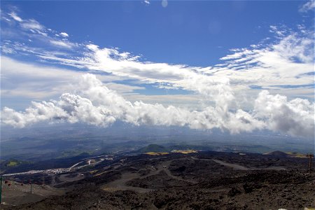 IMG_3390