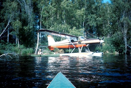 N754 Duck Production Survey