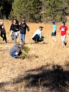 A group of kids learn about forest science at an Every Kid Outdoors Field Day