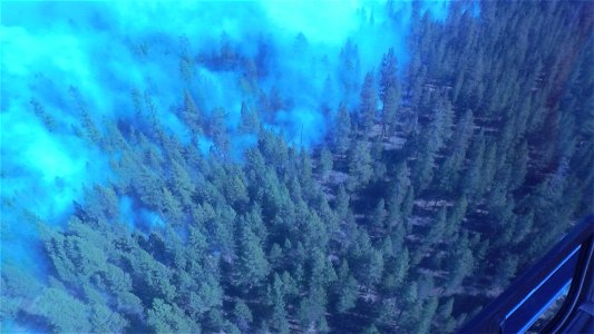 Smokey Forest Seen from a Helicopter