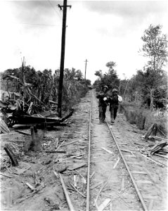 Bringing home the chicken: Pfc. Michael Sigal, Jersey City, N.J., and Pvt. Vincent Tavano, Bronx N.Y. swing a chicken as they head along railroad tracks toward a roasting pit.