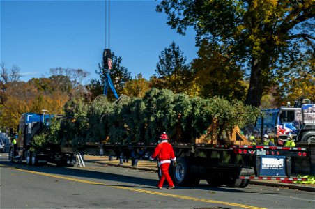 CapitolXmasTree-WashingtonDC-032 photo