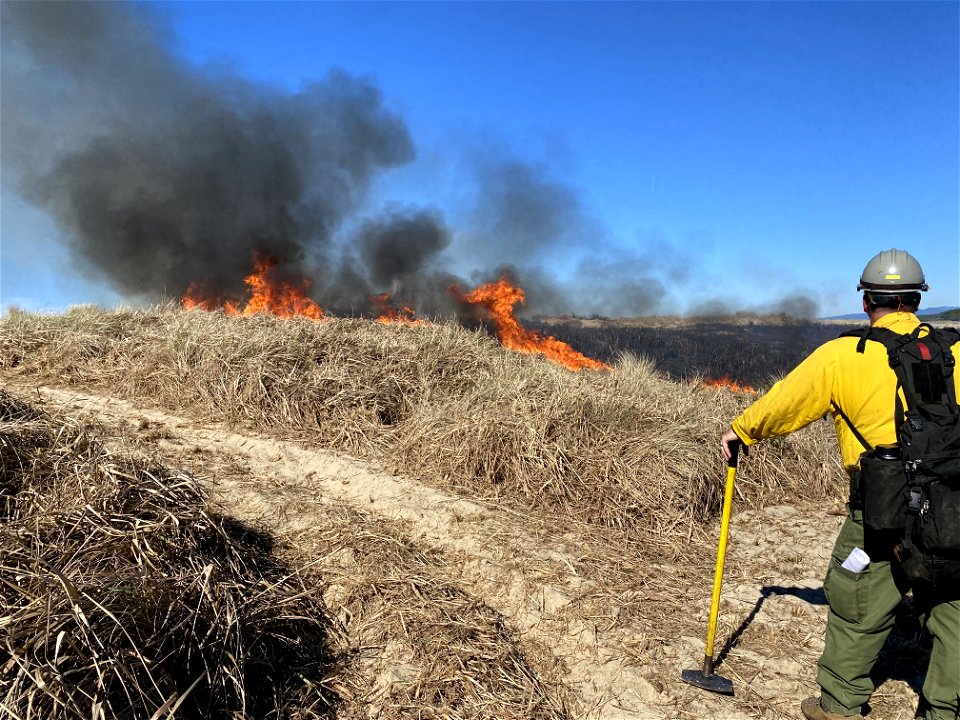 Siuslaw Oregon Dunes Prescribed Burn 2022