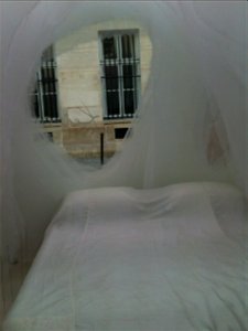 Bed and window photo